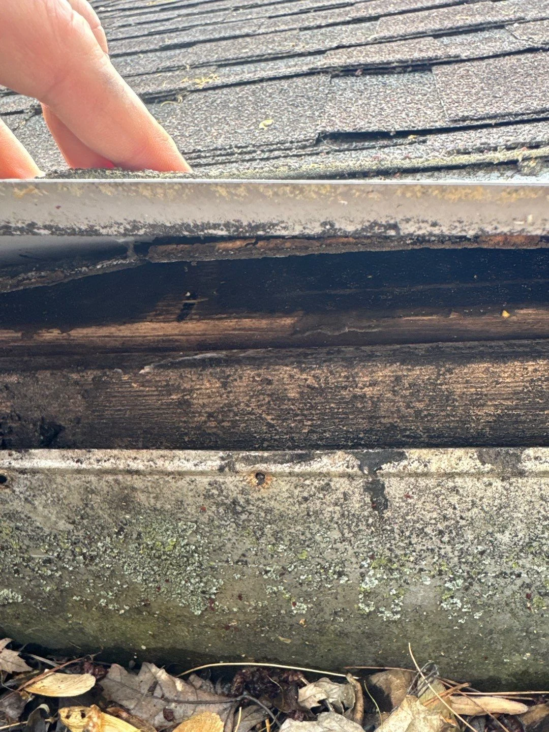 Ponding Water on Commercial Flat Roofs: What Causes It and How to Fix It